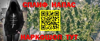Альфа ПВП Берёзовский