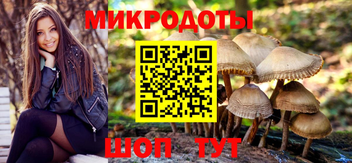 Галлюциногенные грибы Cubensis  Галлюциногенные грибы прущие грибы  Каспийск  Вход с VPN 