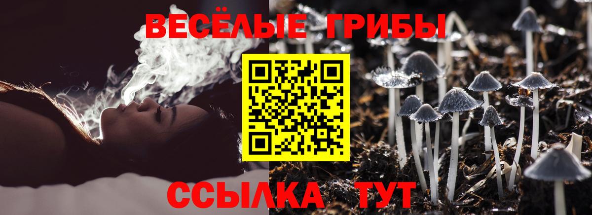 Галлюциногенные грибы Cubensis Каспийск